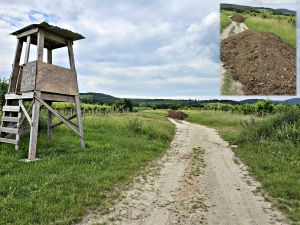 Správa družstevného majetku má byť zo zákona vždy v prospech všetkých podieľnikov v družstve